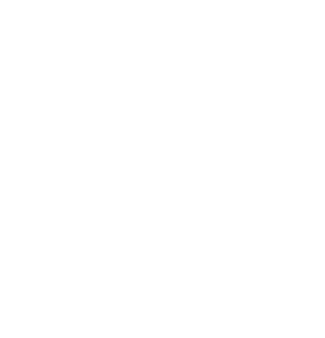 Irish Writers Centre